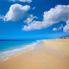 Fototapeta na wymiar Morro Jable Matorral beach Jandia in Fuerteventura