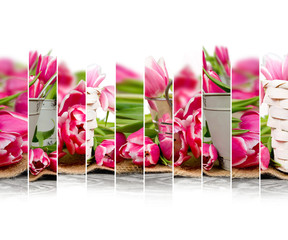 Tulip Bloom Mix