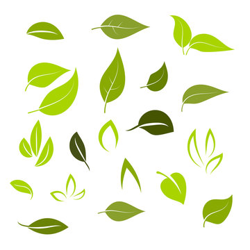 Leaf icon set vector