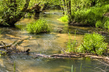 River among bushes at spring. Springtime landscape.