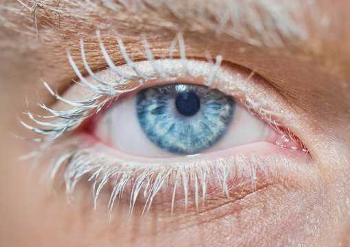 Close up photo of woman's blue eye in studio