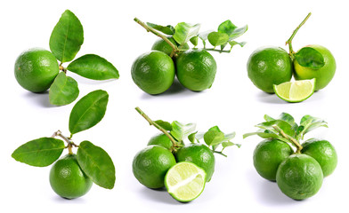 collection of Lime. Fresh fruit with leaf on white background