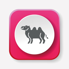 animal camel icon