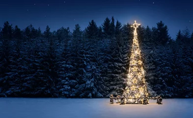 Fototapeten Illuminated christmas tree in the snow at night with copy space © rangizzz