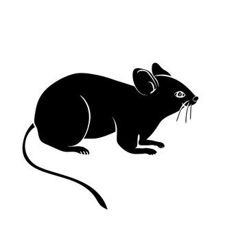 vector silhouette of the mouse