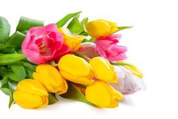 Bouquet of tulips for design