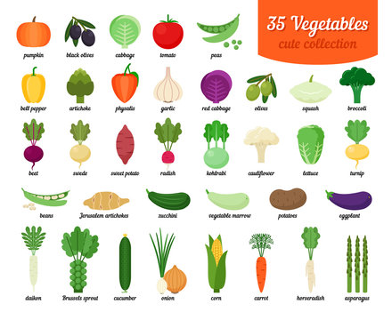 Colorful collection of cute vegetable
