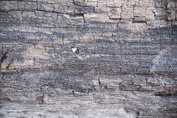 wood texture closeup background