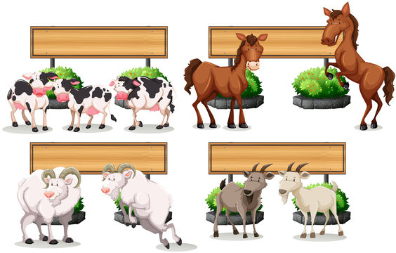 Farm animals standing by the sign