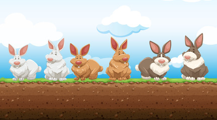 Easter rabbits standing on the ground