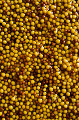Background of seeds of mustard