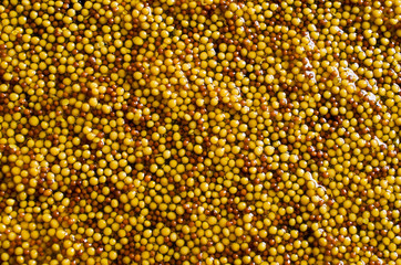 Background of seeds of mustard