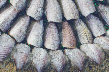 salted fish in sunshine on net, food preservation