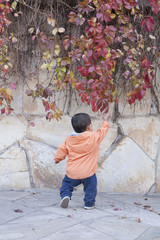 Obraz na płótnie Canvas Happy Chinese baby boy standing in front of Boston Ivy