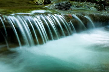 Foto op Plexiglas nice small waterfall © Pavlo Klymenko