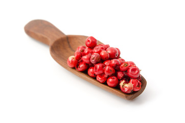 Rosa Pfeffer (Schinus terebinthifolius)