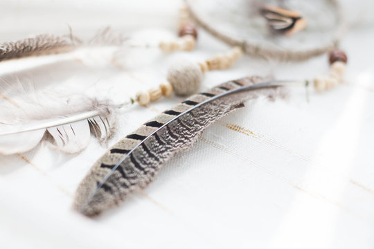 Dreamcatcher