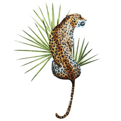 Watercolor vector leopard