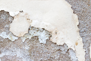 Naklejka premium white concrete wall texture