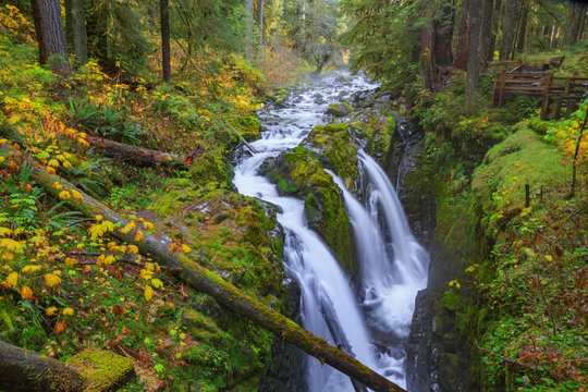 Fototapeta Sol Duc waterfall in Rain Forest
