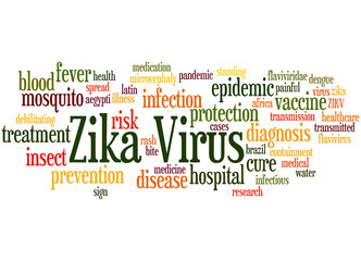 Zika Virus, word cloud concept 3