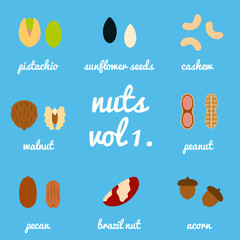 Vol 1. nuts and seeds icon set