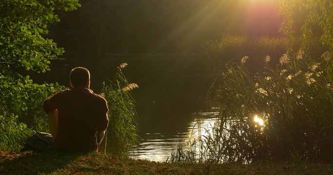 Man With Backpack Comes Sits at The Lake Bank Man's Silhouette Wild Duck Swan is Swimming at The Lake Overgrown Bank Green Reed Sun's Reflection