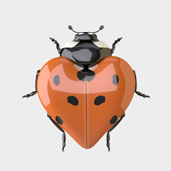 Ladybug. Heart shaped Ladybug. The Three-dimensional Ladybug in Shape of Heart. Isolated on the White