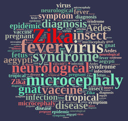 Word cloud on the Zika virus.