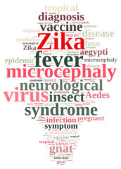 Word cloud on the Zika virus.