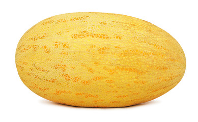 One ripe melon (isolated)