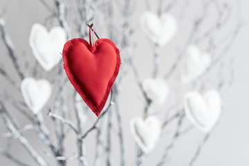Cuore rosso e cuori bianchi appesi ai rami con sfondo luminoso