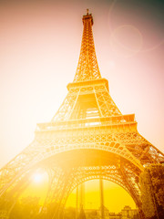 The Eiffel tower, one of the most favorite landmarks in the worl