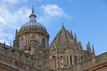 Naklejka premium New Cathedral of Salamanca, Spain.