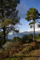 Sierra de Gredos. Avila