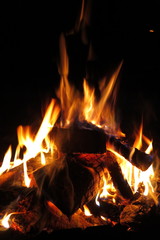 Night bonfire