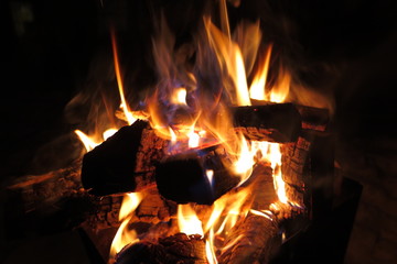 Fototapeta premium Night bonfire