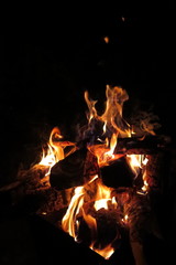 Night bonfire