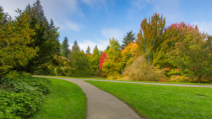 Fototapeta na wymiar Washington park arboretum