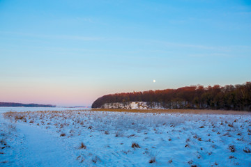 Winter landscape