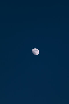 Moon isolated on a blue hour sky