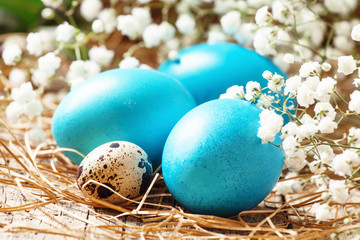 Blue Painted Easter eggs and quail eggs in the straw with a smal