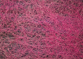 Textur, Hintergrund in pink