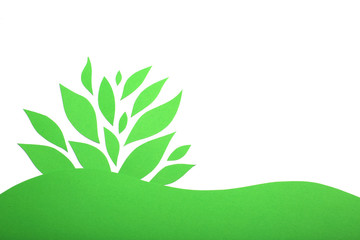 Fototapeta premium Green paper plant