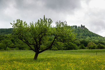 Schwäbisches Albvorland