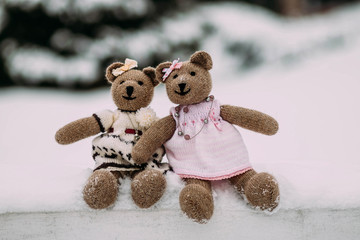 Two teddy bear sitting alone in the snow