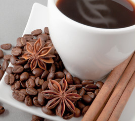 coffee, grains,cinnamon ,anise on a grey