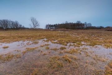 Early spring landscape of grassland and puddle under cloudy sky