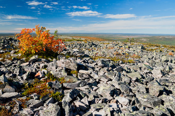 Fototapeta na wymiar Herbstfärbung in Finnland