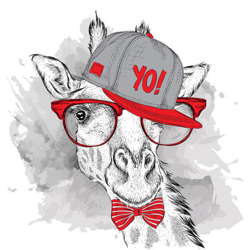 The poster with the image giraffe portrait in hip-hop hat. Vector illustration.